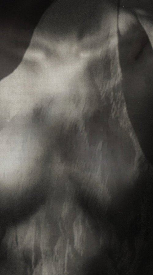 Nolly.... by PHILIPPE BERTHIER