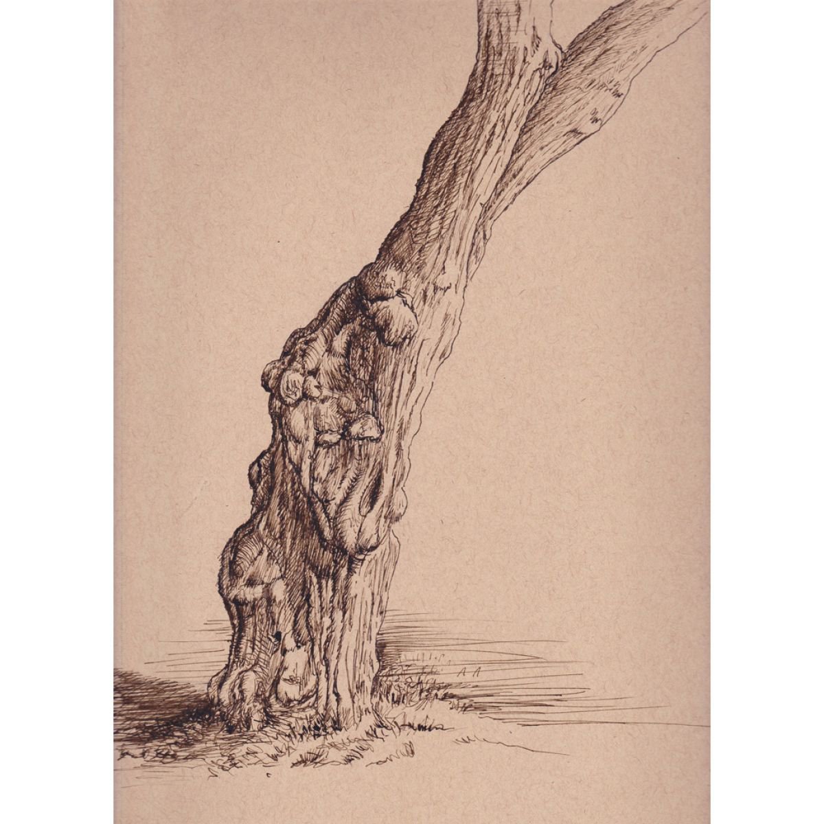 Burled Tree Trunk by John Fleck