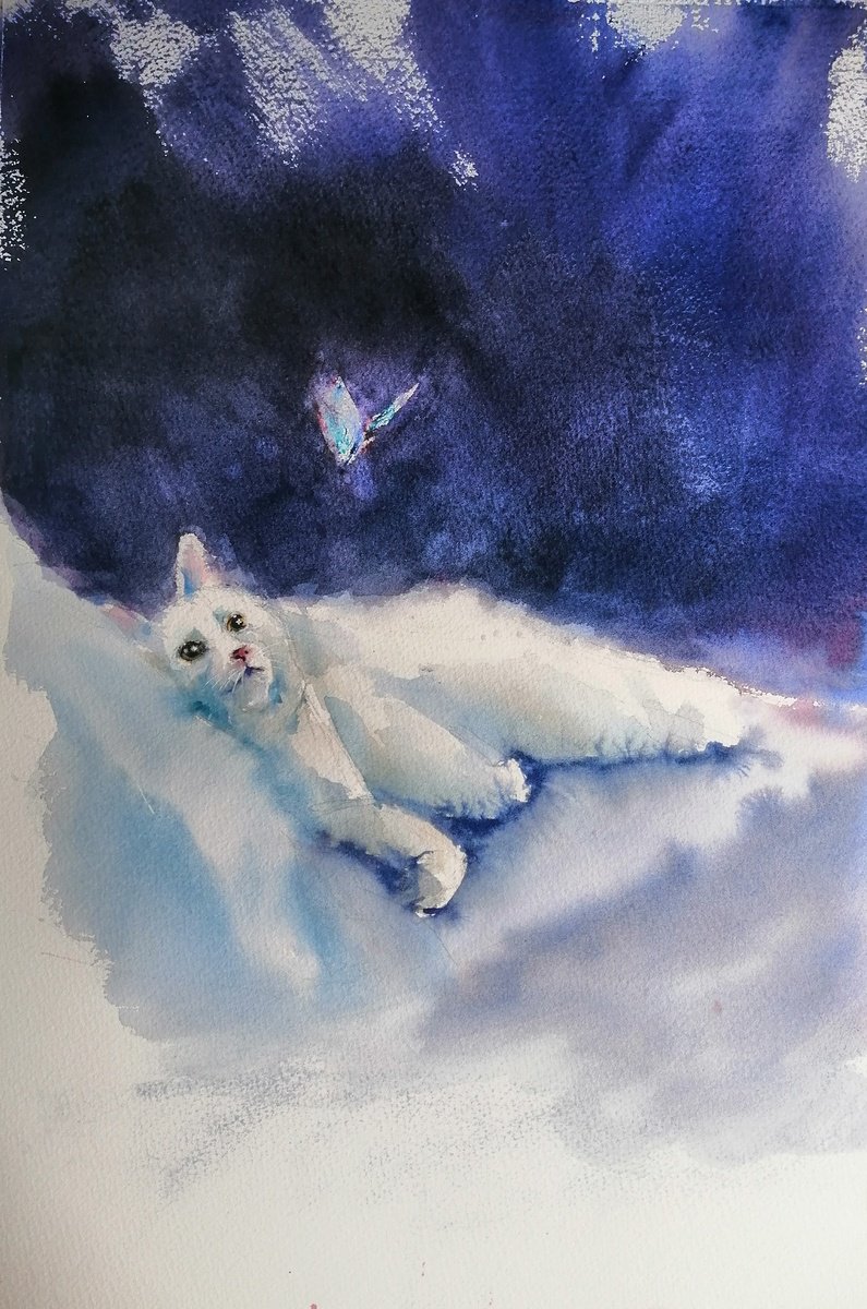 lying cat 5 by Giorgio Gosti
