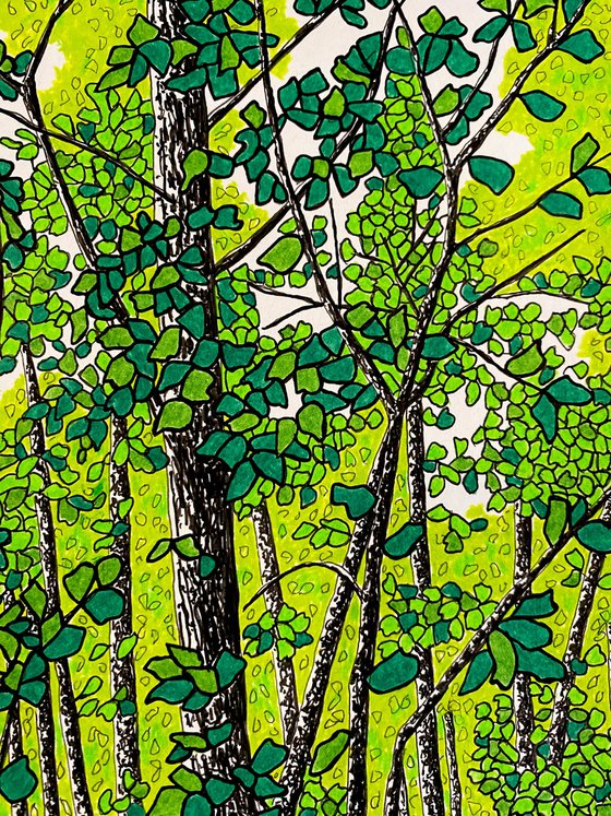 Where the Leaves Gather