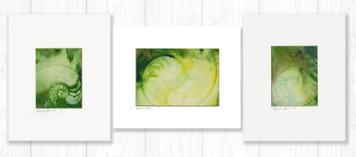 Abstract Painting By Kathy Morton Stanion, 24 X 10", Nautilus Shell Collection 7, Original Artwork