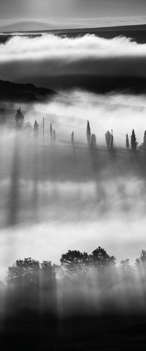 Misty Sunrise by Tomasz Grzyb
