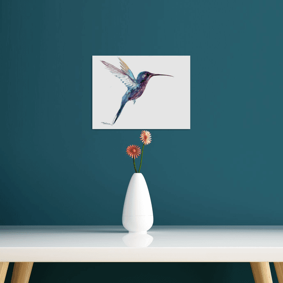 Hummingbird