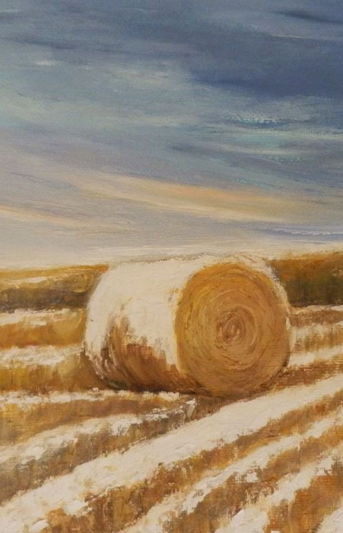 Stubble under the snow by Maria Karalyos