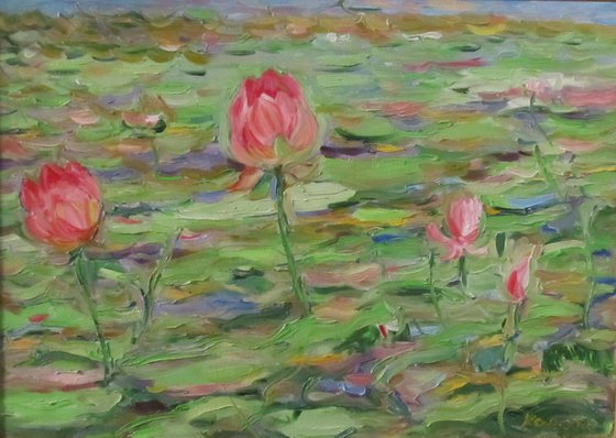 ROSE LOTUS - Landscape water lily pond, lilies, original painting, oil on canvas, interior home decor, 73x105