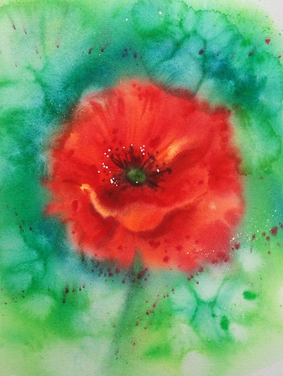 Soul of Poppy - Red Poppy - poppy watercolour