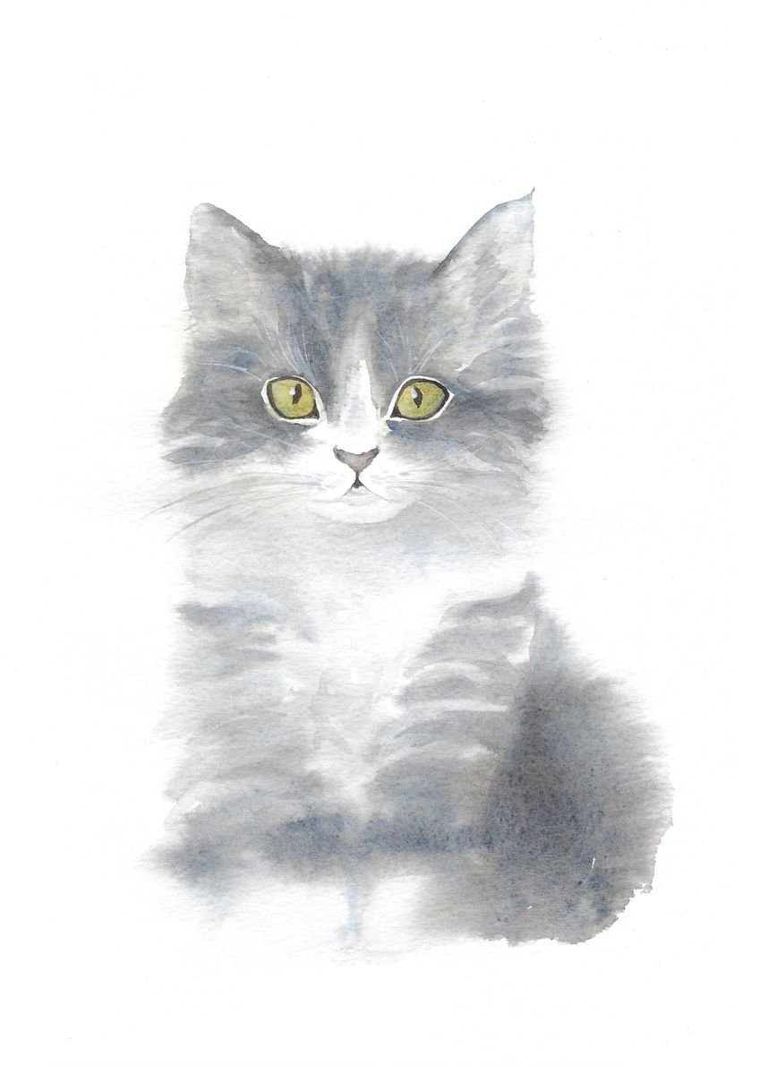 Kitten, Watercolour by Tanya Amos