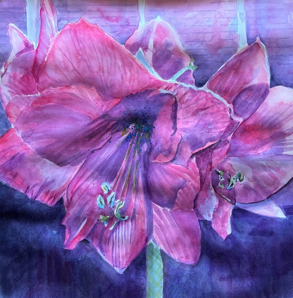 Impressionistic Botanical Watercolour By Bronwen Jones, 15 X 15, Amaryllis, Original Artwork