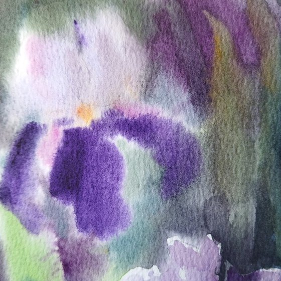 Iris flowers
