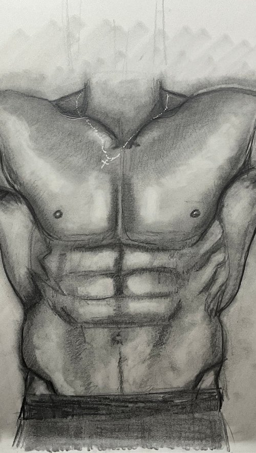 Male torso study 18x24 by katy hawk