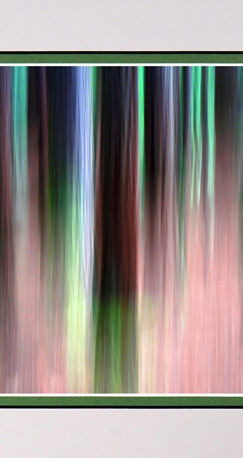 Rainforest New Zealand ICM by Robin Clarke