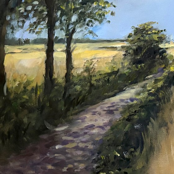 Hampshire Countryside