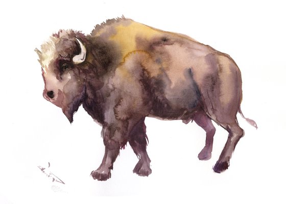 Bison