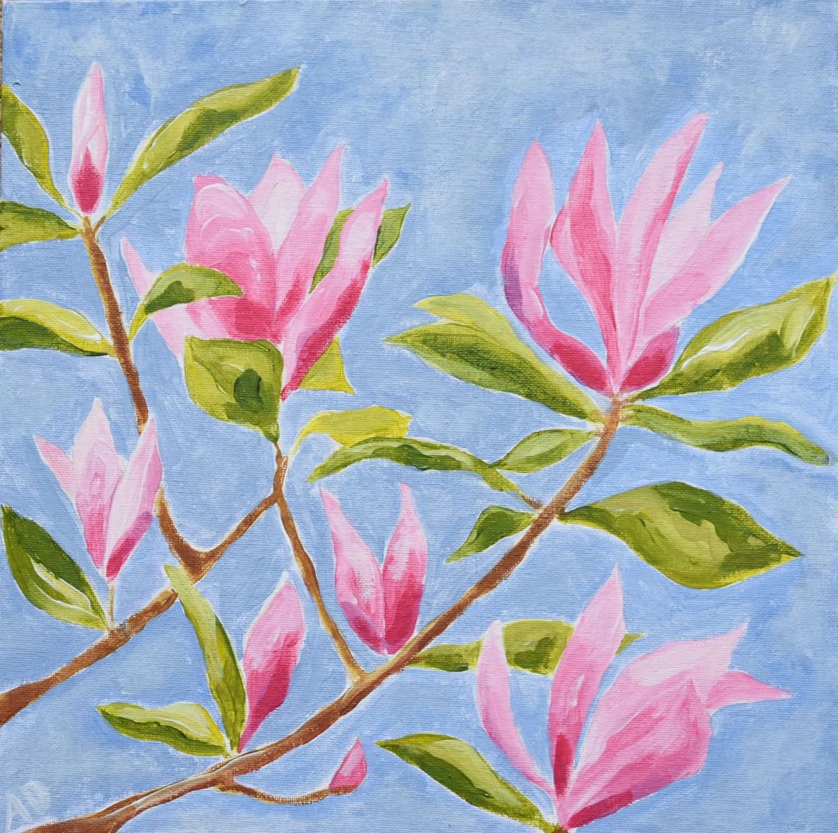 Magnolia buds by Alison Deegan