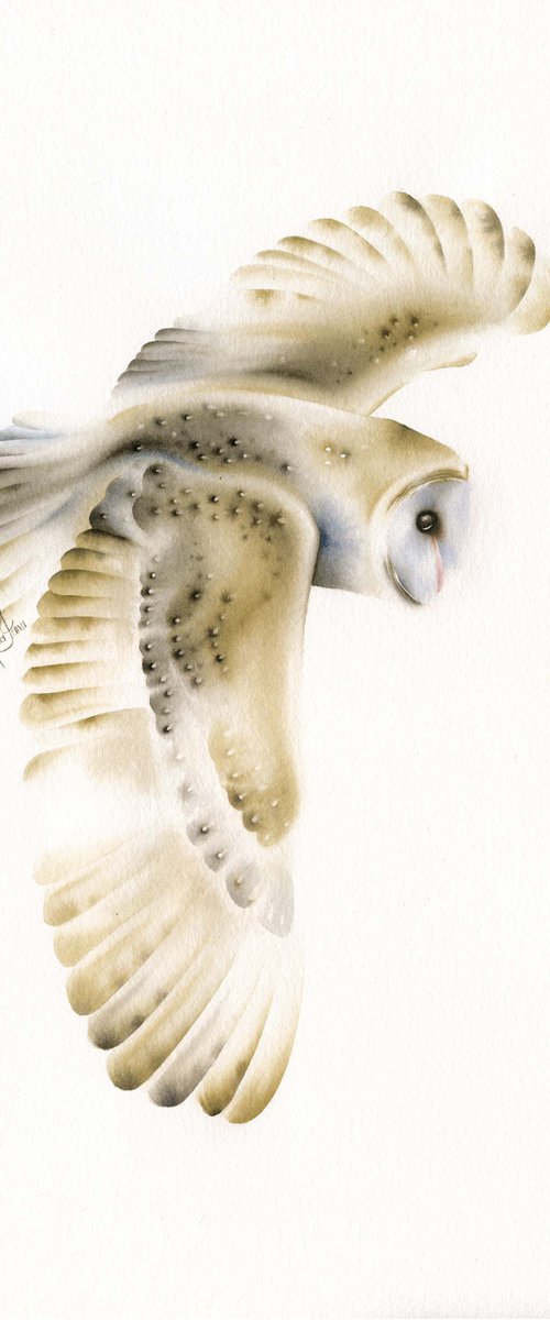 Flight II by ieva Janu