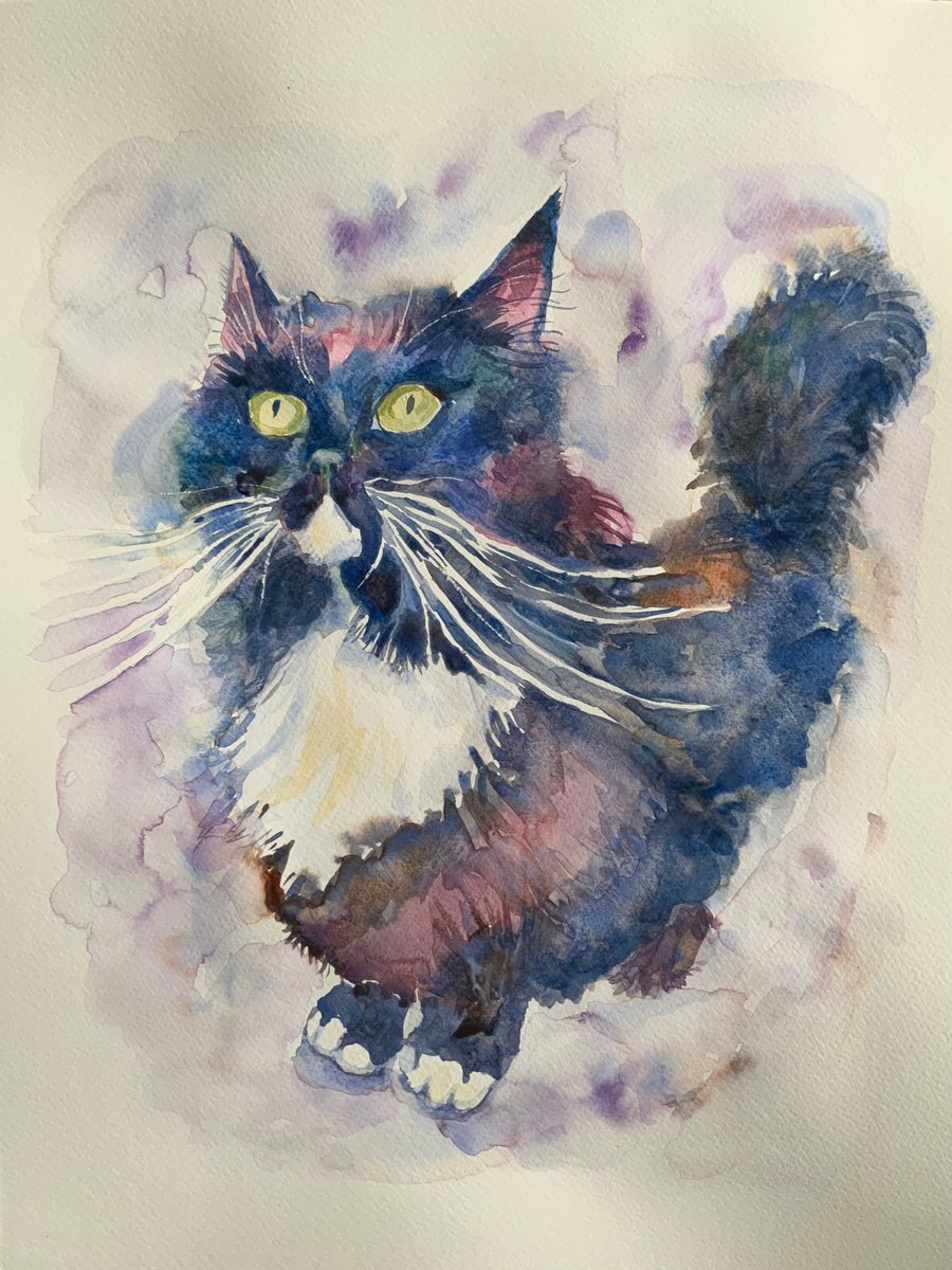 Ragdoll Cat by Mary Stubberfield