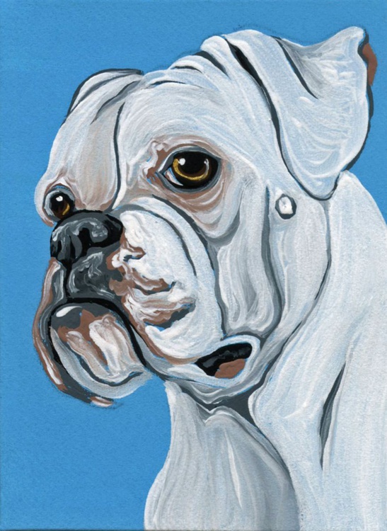 Aceo Atc Original Painting White Boxer Pet Dog A Artfinder