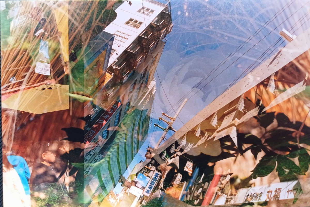 Surrealistic Landscape Photograph By Willow Moon, 6 X 9", Jp 3: City In Bloom, Original Artwork