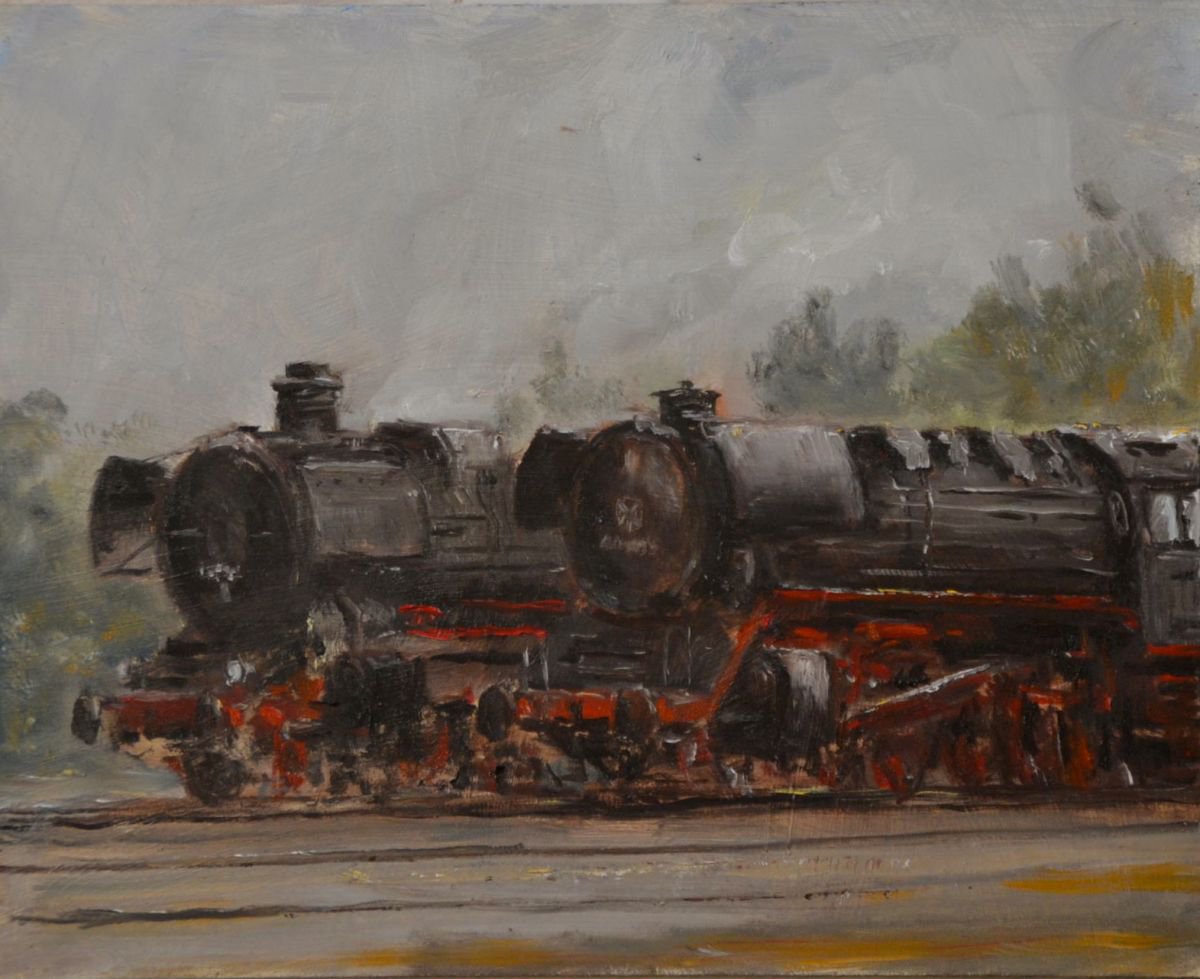 steam locomotives of the museum VSM line by Jan Baggen