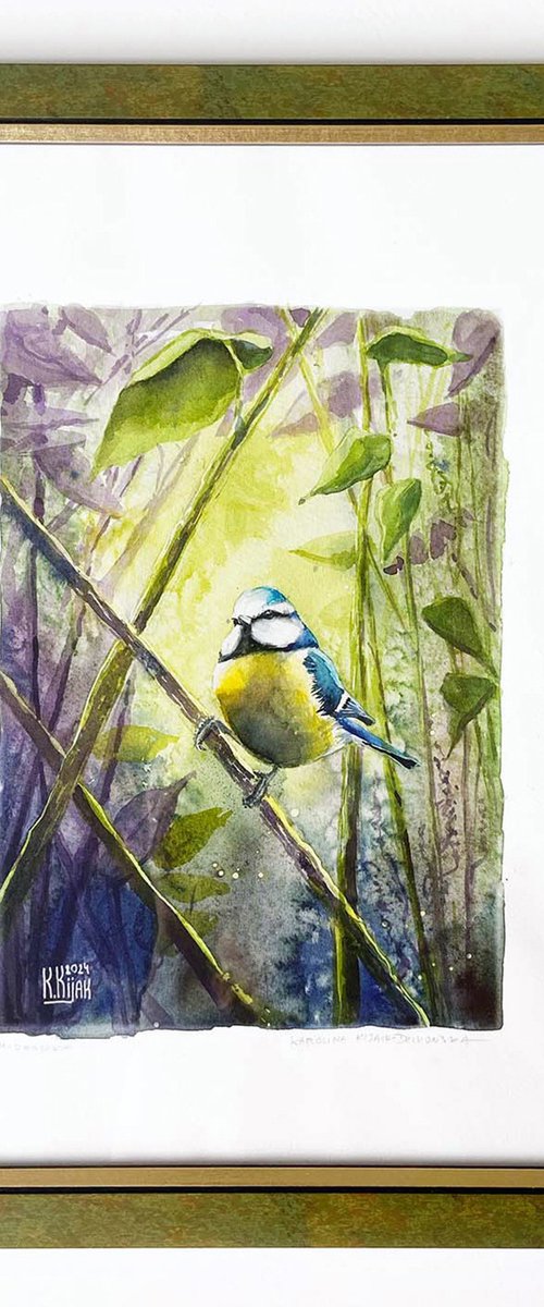 Blue Tit on spring twig by Karolina Kijak