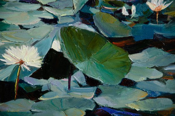 Between Water and Sleep