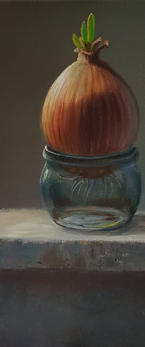 New life by Diana Janson