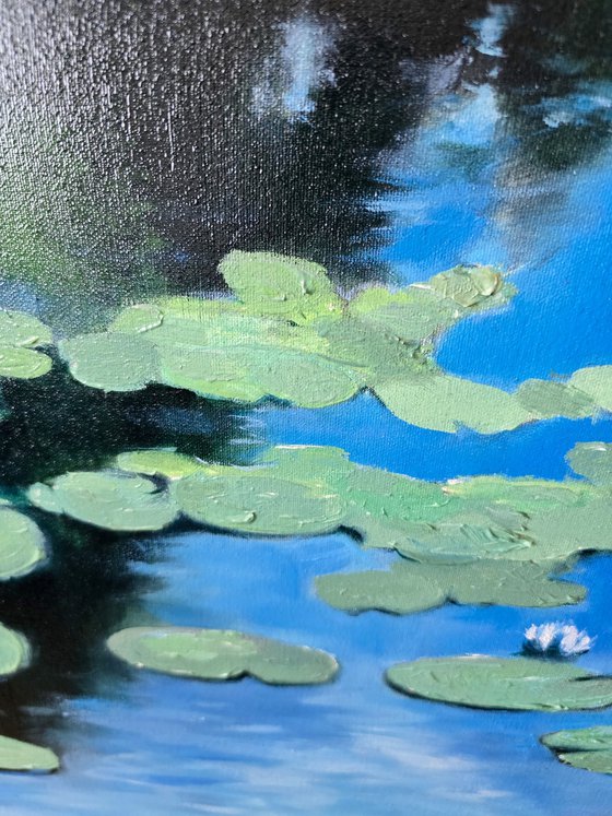 Water Lilies