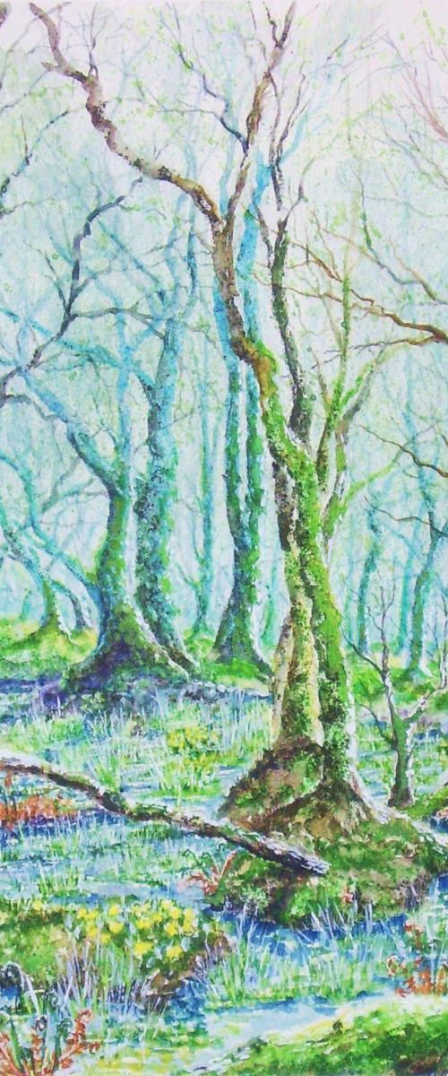 Enchanted Forest by Max Aitken