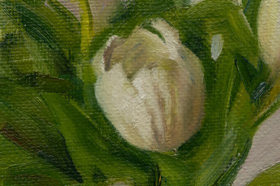 White tulips