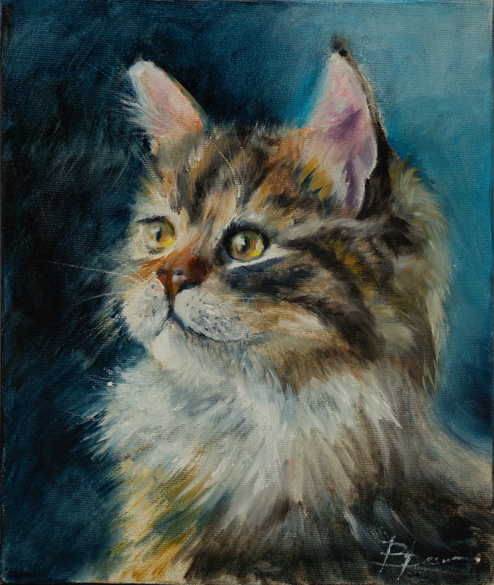 Majestic Longhair Cat By Olga Tchefranov (Shefranov), 10 X 12, Artwork For Sale On Artfinder