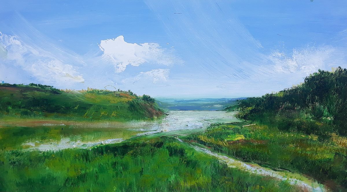 Abstract Landscape Oil Painting By Snezana Djordjevic, 31 X 18", Drina, Original Artwork