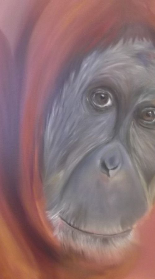 The Soul of an Orangutan by Timea  Valsami