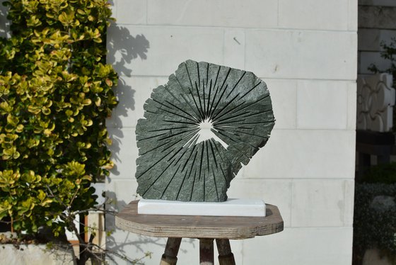 "Brilliance of Mind"