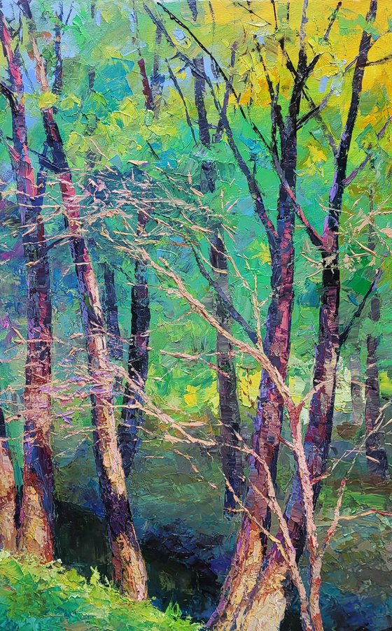 A Walk Through the Autumn Forest