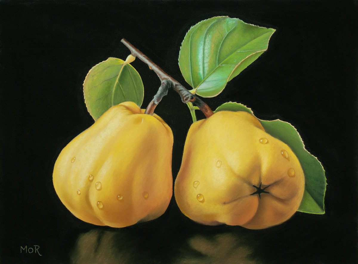 Photorealistic Still Life Pastel Drawing By Dietrich Moravec, 16 X 12, Two Quinces On A Twig, Original Artwork