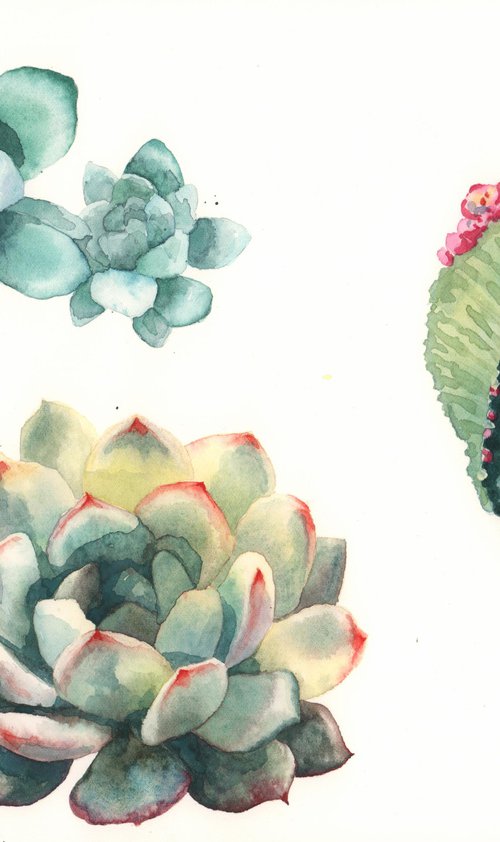 Botanical Cactus Painting - Original Watercolour Cactus by Alison Fennell