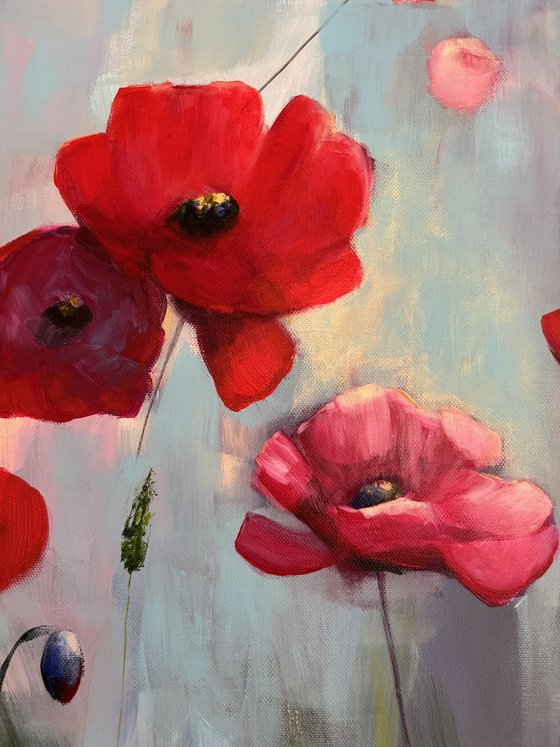 Poppies Land 12