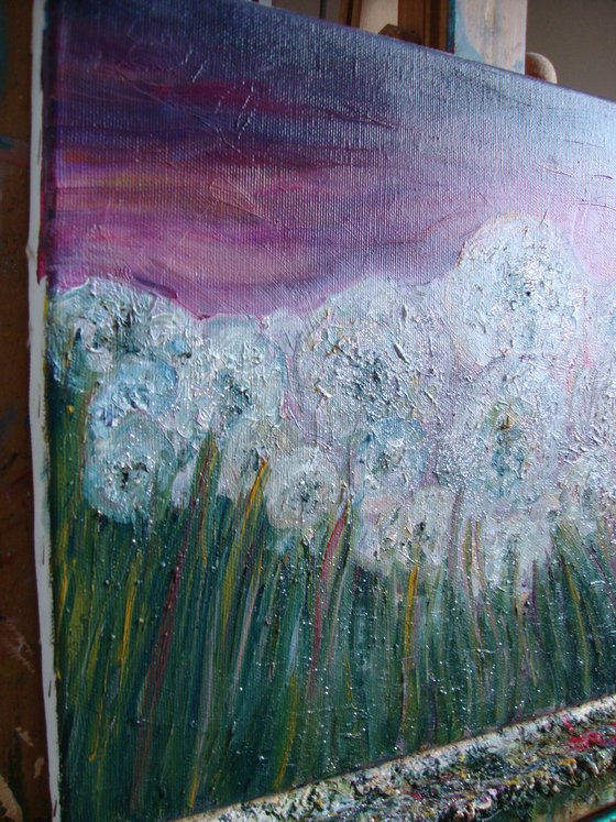Field of dandelions