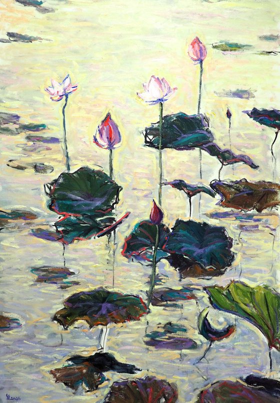 Water Lilies