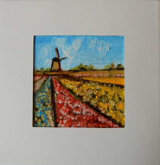 Tulip fields with wild mill in Holland (2).