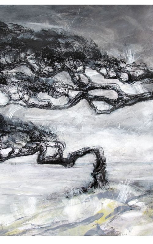 Two Hawthorns. Humphrey Head, Morecambe bay by John Sharp