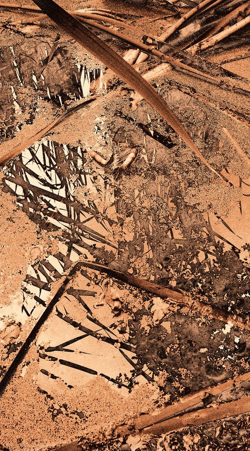 Natural Rhythm 7. by Petr Strnad