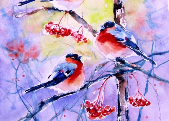 Bullfinches