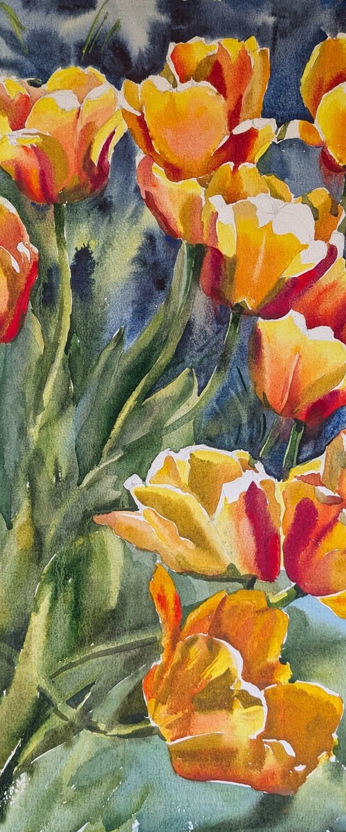 Tulips#5 by Yurii Pashkov