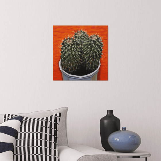 Cactus against an Orange background