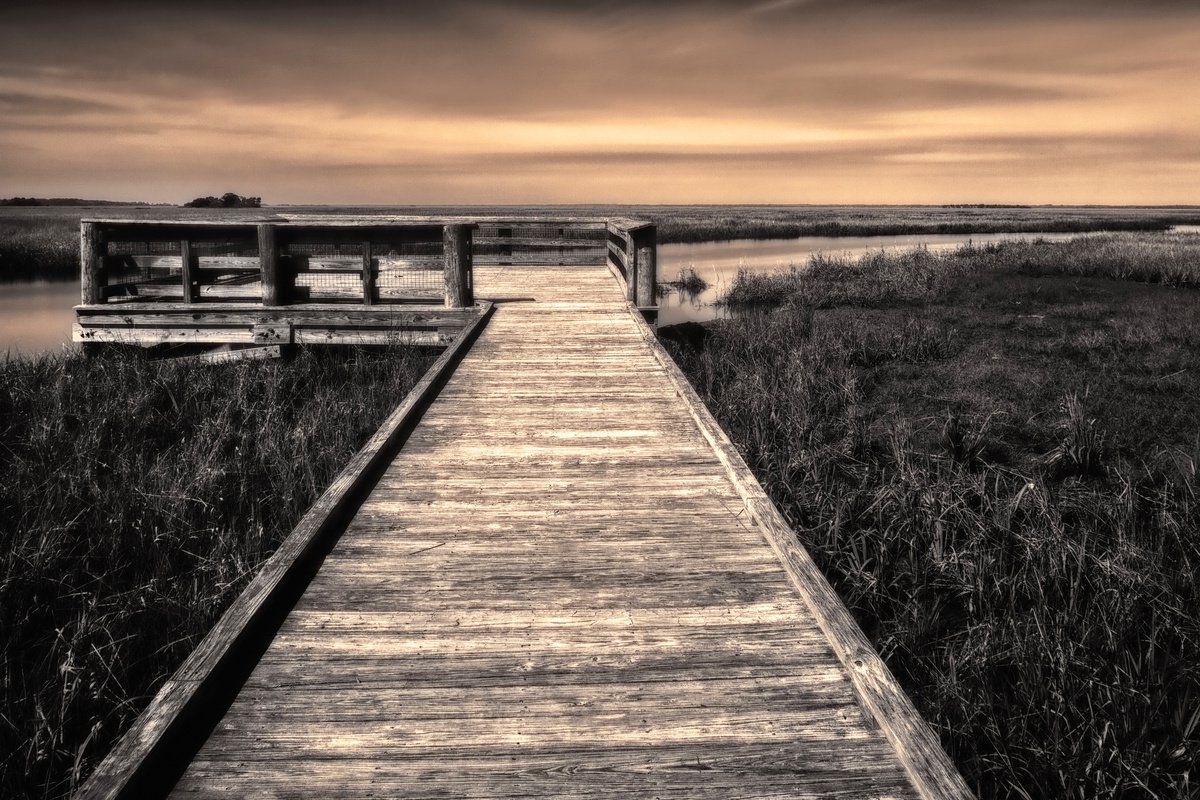 Marsh Boardwalk C by John McManus
