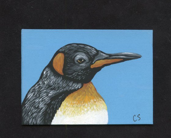 ACEO ATC Original Painting King Penguin Bird Wildlife Art-Carla Smale
