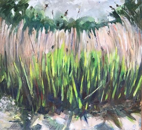 Reeds by Sandra Haney