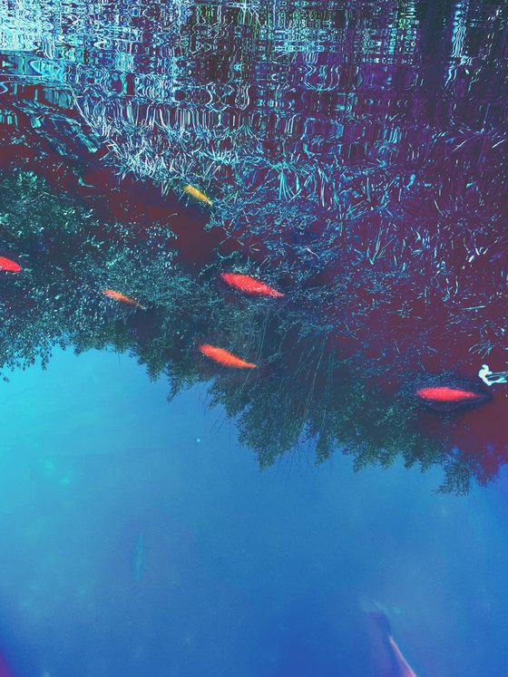 Abstract red fishes II