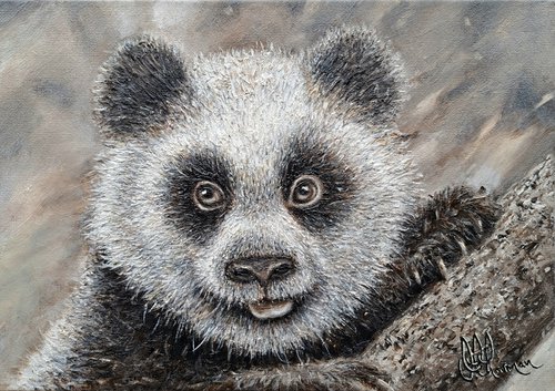 Bamboo Bear by Joseph  Charman